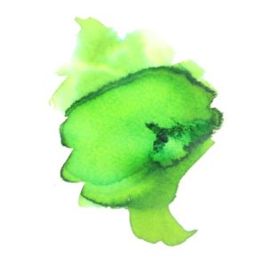 Brusho Colours Leaf Green