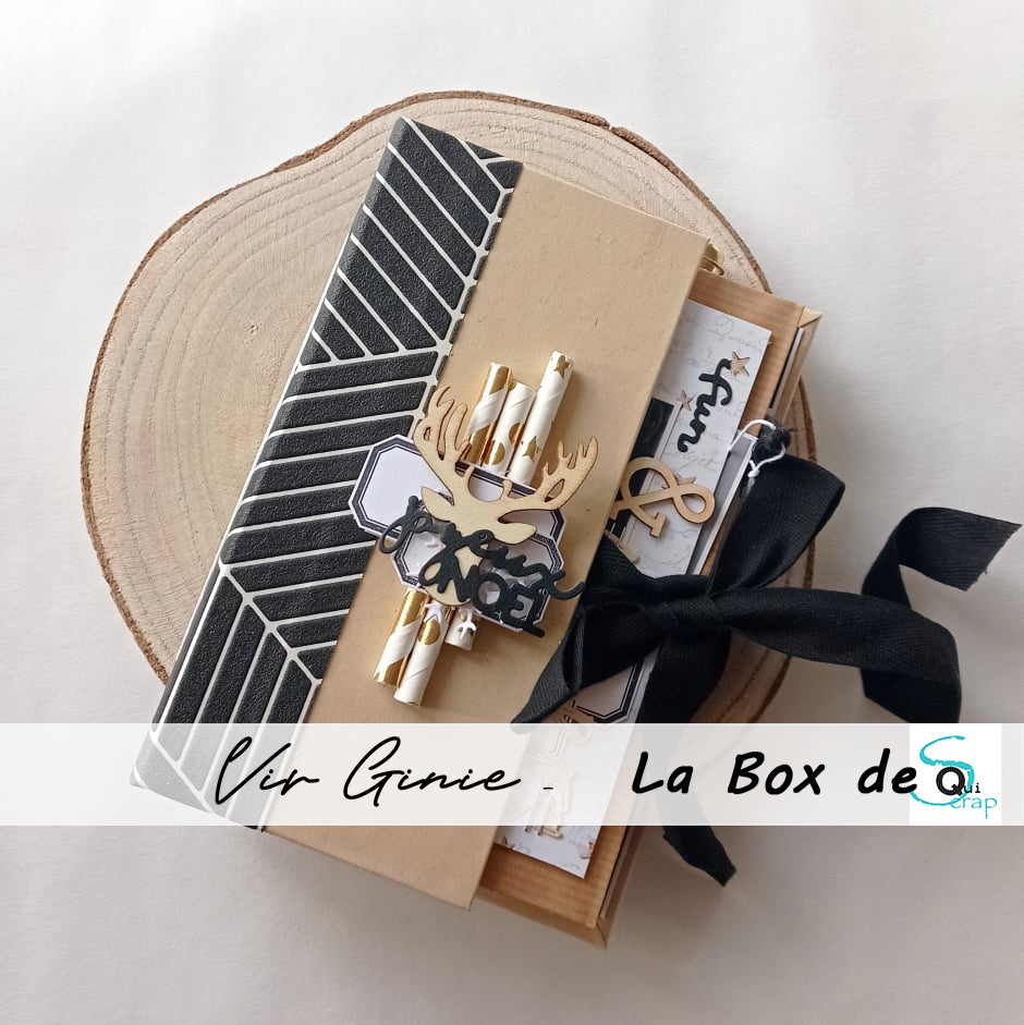 You are currently viewing Tuto n°6 pour la Box de Décembre 2021 par Vir Ginie: le minalbum Joyeux Noël