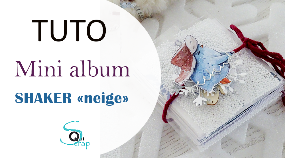 You are currently viewing Tuto n°4 pour la Box de Janvier 2023 par Charlotte Bouchet: le minialbum Neige