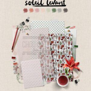 Collection Papiers - Soleil Levant - Chou and flowers