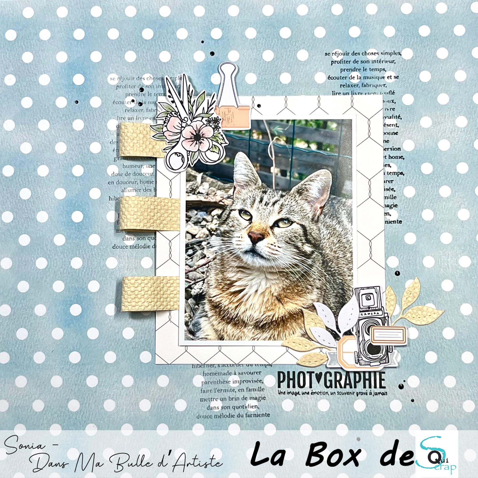 You are currently viewing Tuto n°5 pour la Box de Mai 2024 par Sonia Dans ma bulle d’artiste