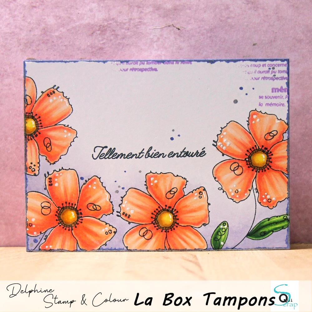 You are currently viewing Zoom sur la Box Tampons de Septembre 2024