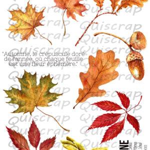 Planche de Dies-cut – Feuilles d’automne – Quiscrap