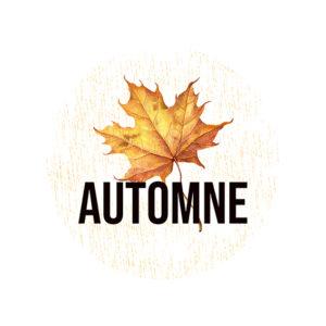 Badge 25mm – AUTOMNE – Quiscrap