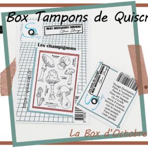 La Box Tampons de Quiscrap