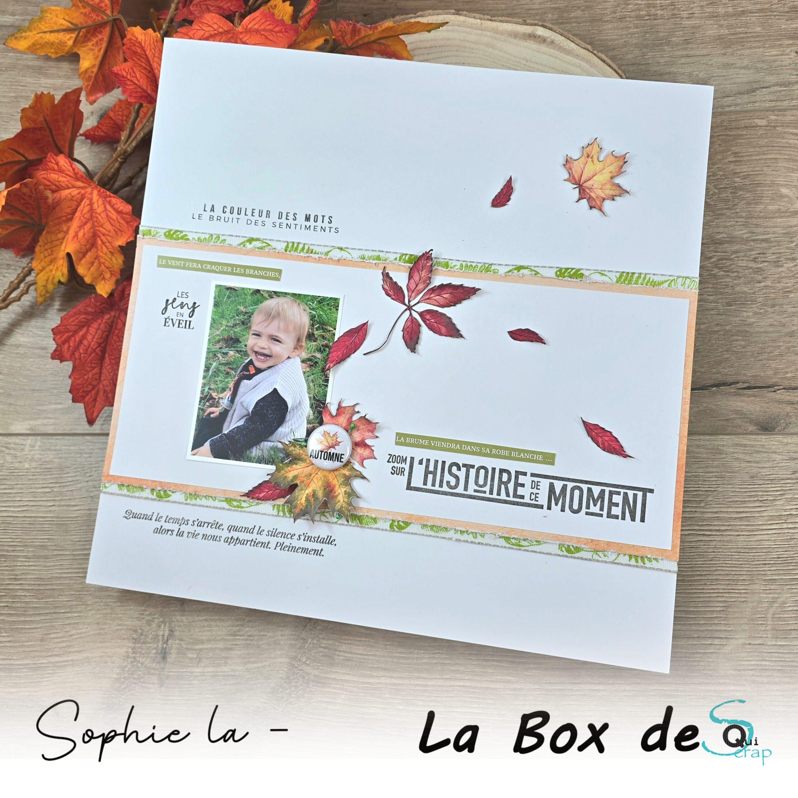 You are currently viewing Tuto n°1 pour la Box de Novembre 2024 par Sophie La