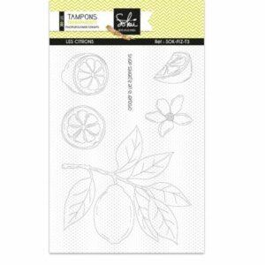 Tampons clear : Les citrons – SOKAI