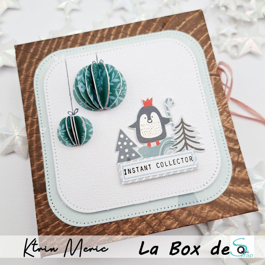 You are currently viewing Tuto n°6 pour la Box de Janvier 2025 par Ktrin Méric