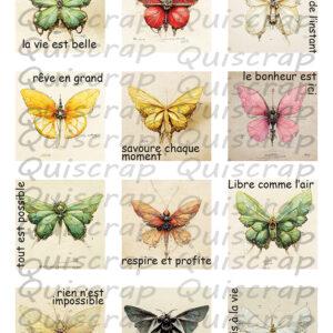 Planche de Dies-cut – Collection de papillons – Quiscrap