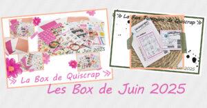 Lire la suite à propos de l’article Les Box de Juin 2025