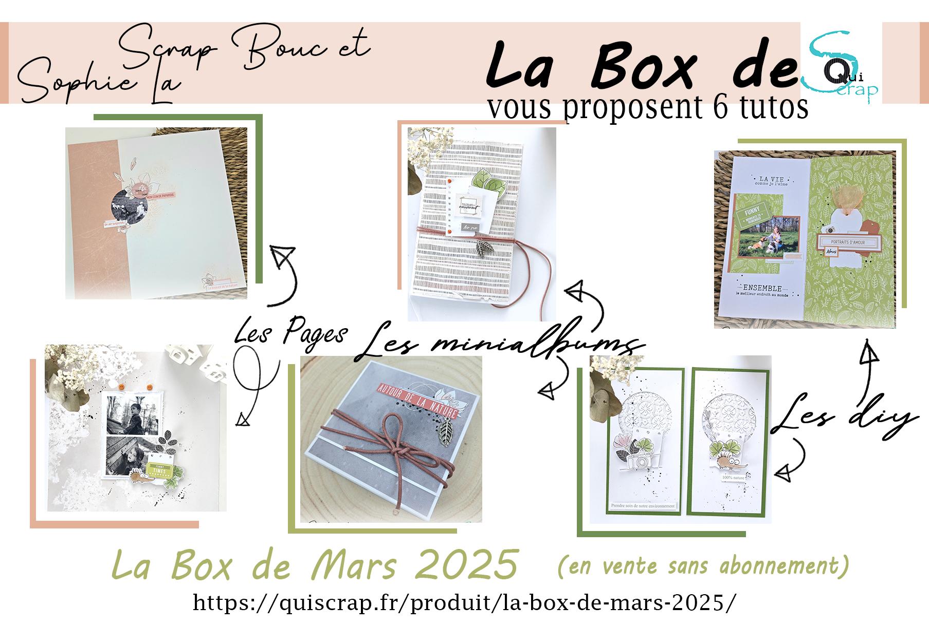 You are currently viewing 6 Tutos à réaliser avec la Box de Mars 2025