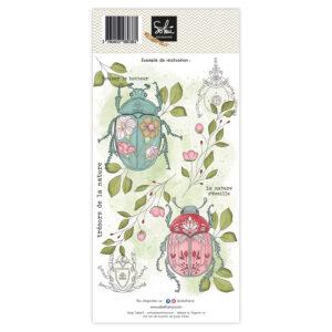Tampons transparents – SOUVENIRS D’ENFANCE : Trésors de la nature – Sokaï