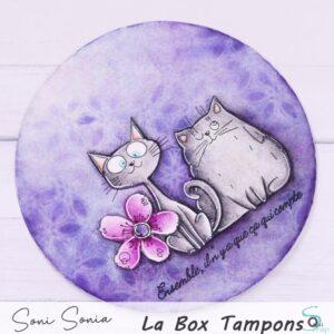 Tampons clear – Les chats rigolos – Quiscrap