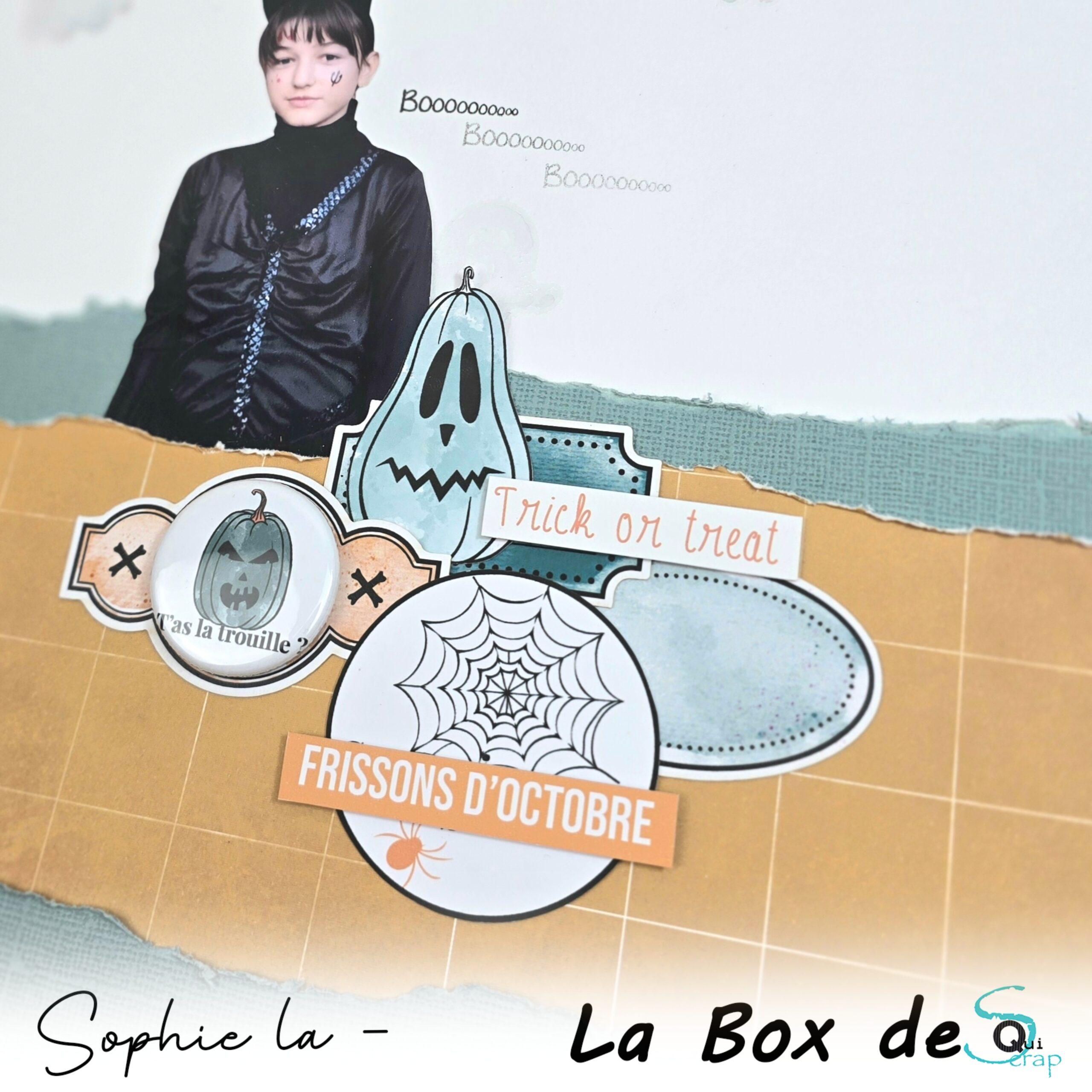 You are currently viewing Tuto n°4 pour la Box d’Octobre 2025 par Sophie La