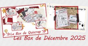 Lire la suite à propos de l’article Les Box de Décembre 2025
