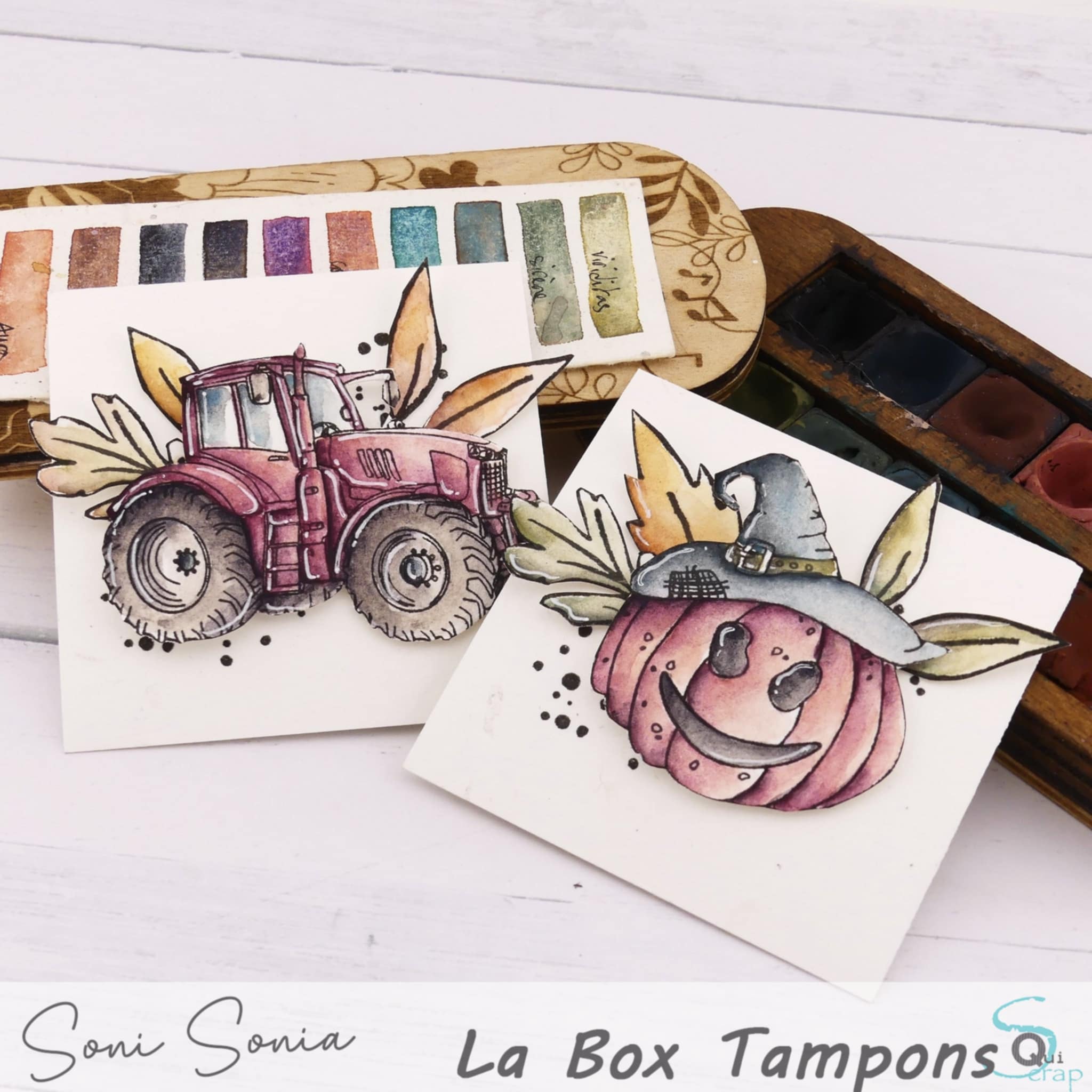 You are currently viewing Zoom sur La Box Tampons d’Octobre 2025 par Sonia