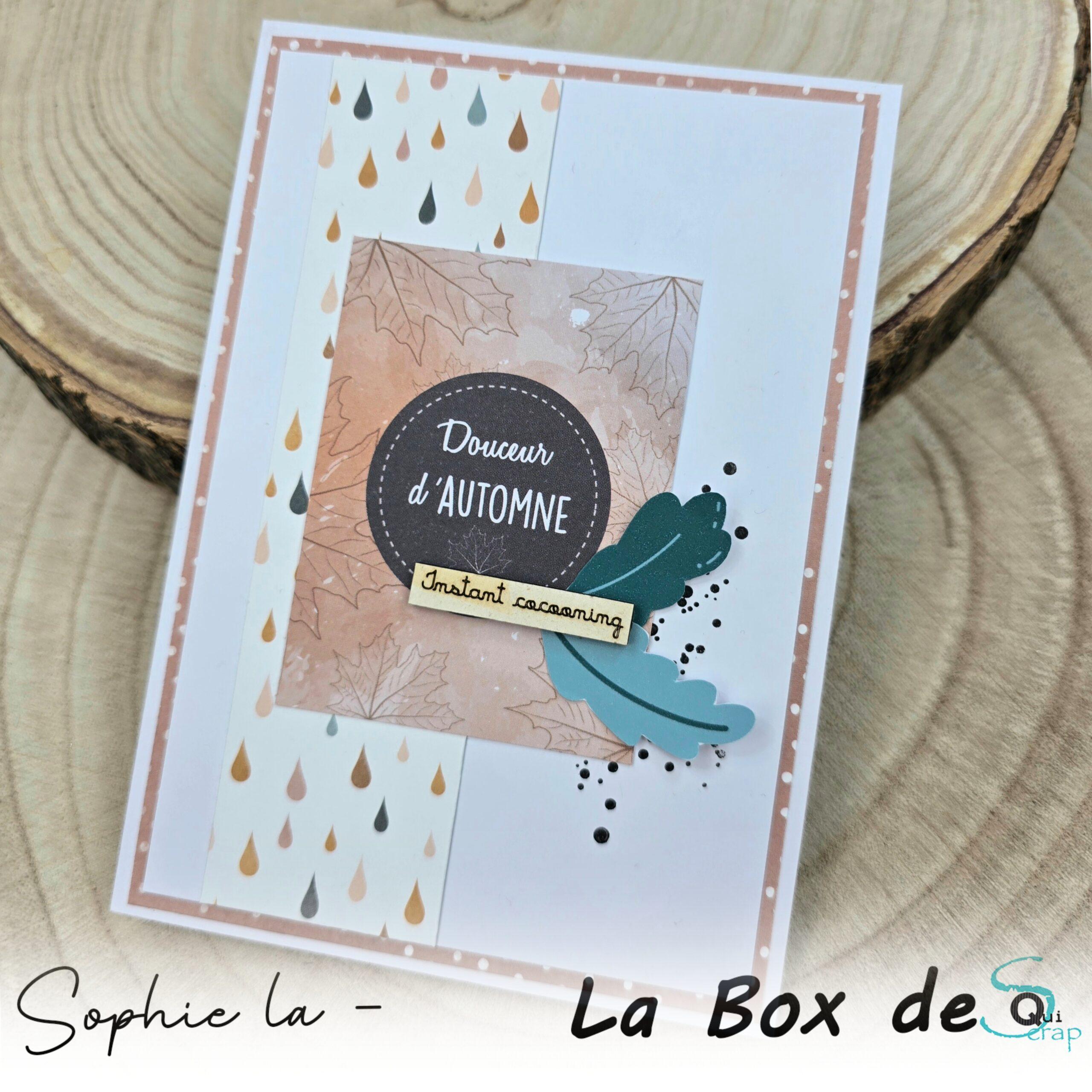 Lire la suite à propos de l’article Tuto n°6 pour la Box d’Octobre 2025 par Sophie La