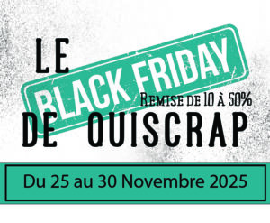 Lire la suite à propos de l’article C’est parti pour le Black Friday chez Quiscrap !
