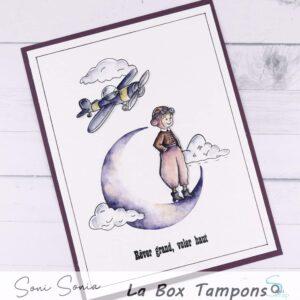 Tampons clear – En plein vol – Quiscrap