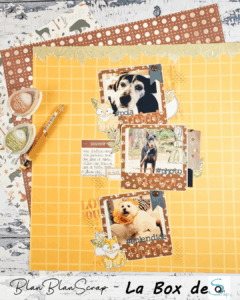 Lire la suite à propos de l’article Tuto n°4 pour la Box de Janvier 2026 par BlanBlanScrap