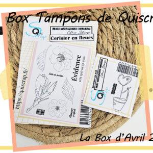La Box Tampons de Quiscrap