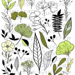 Planche de Dies-cut A5 – Planche botanique – Quiscrap