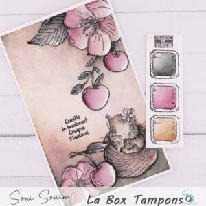 Tampons clear – Multitude d&rsquo;étiquettes – Quiscrap