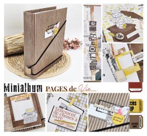 Lire la suite à propos de l’article Nouveau projet crop disponible !