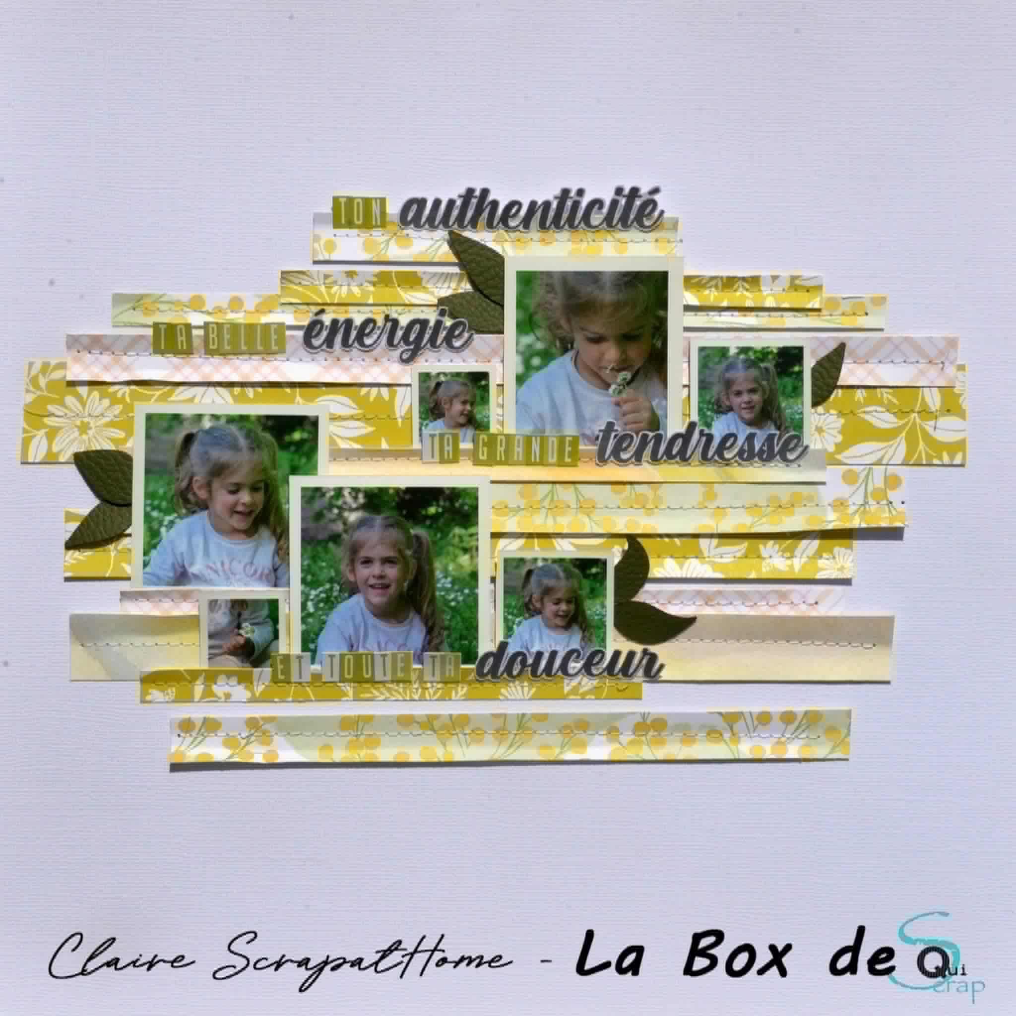 You are currently viewing Tuto n°2 pour la Box de Mai 2026 par Claire Scrapathome