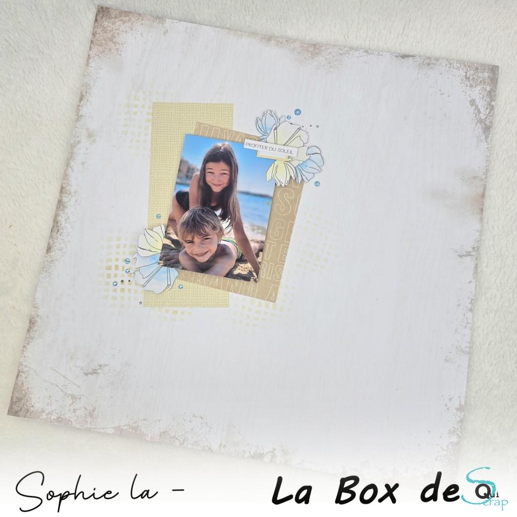 You are currently viewing Tuto n°1 pour la Box de Juillet 2026 par Sophie La