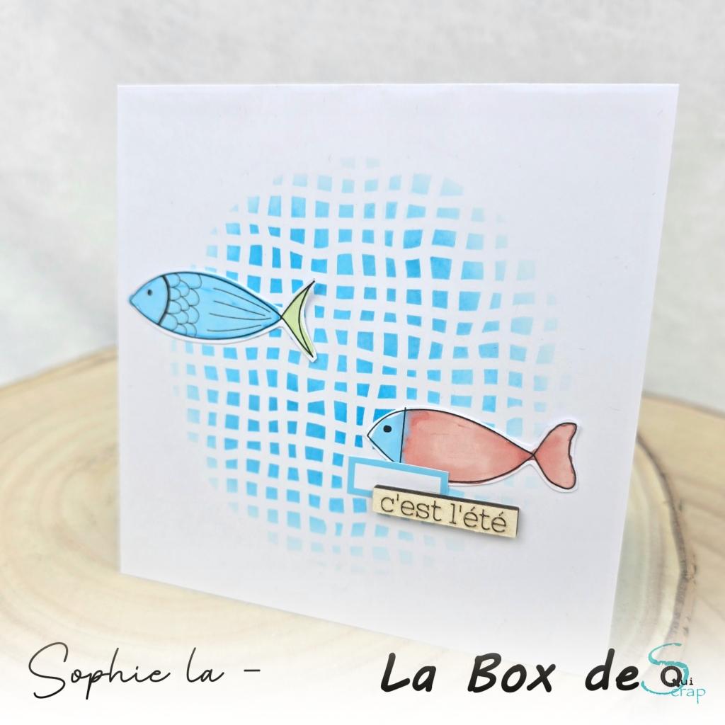 You are currently viewing Tuto n°5 pour la Box de Juillet 2026 par Sophie La