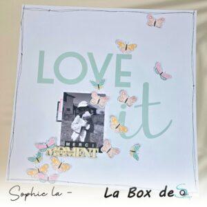 Lire la suite à propos de l’article Tuto n°3 pour la Box d&rsquo;Août 2026 par Sophie La