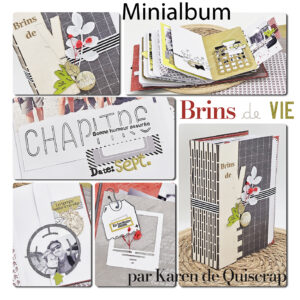 Lire la suite à propos de l’article ***Avis aux associations et groupes de copines de scrapbooking !***