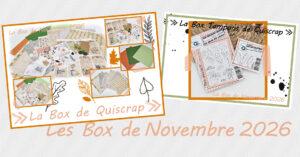 Lire la suite à propos de l’article Les Box de Novembre 2026